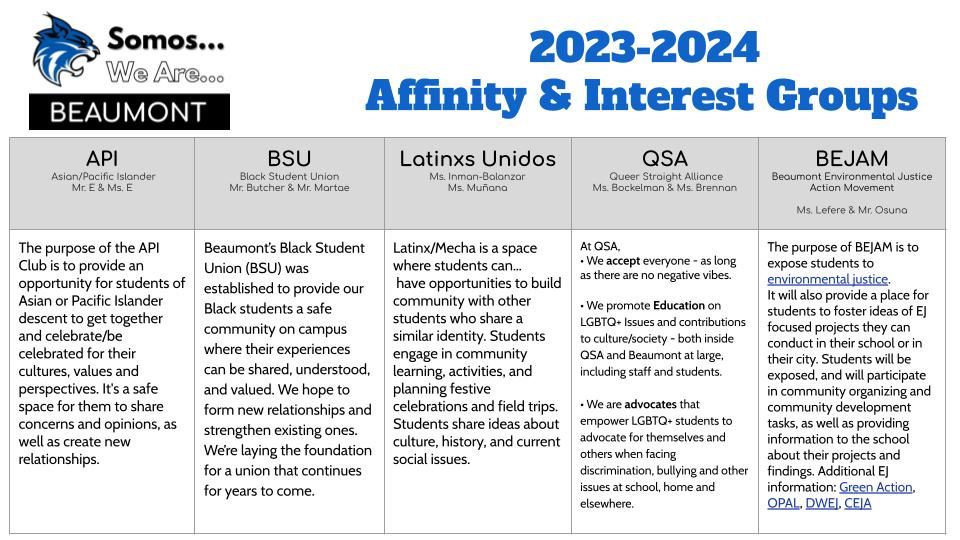 BMS Affinity Groups